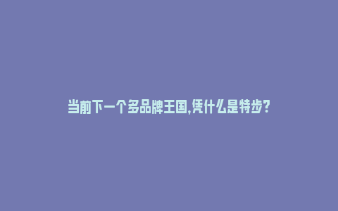 当前下一个多品牌王国，凭什么是特步？_https://www.npxbk.com_宏观_第1张