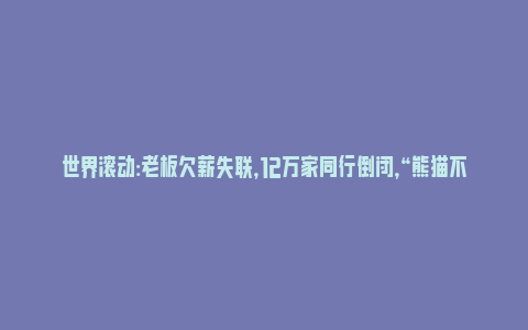 世界滚动:老板欠薪失联，12万家同行倒闭，“熊猫不走”难幸存_https://www.npxbk.com_宏观_第1张