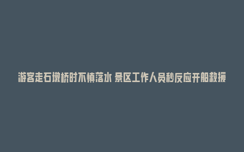 游客走石墩桥时不慎落水 景区工作人员秒反应开船救援！_https://www.npxbk.com_商业_第1张