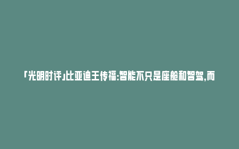 「光明时评」比亚迪王传福：智能不只是座舱和智驾，而是整车智能_https://www.npxbk.com_宏观_第1张