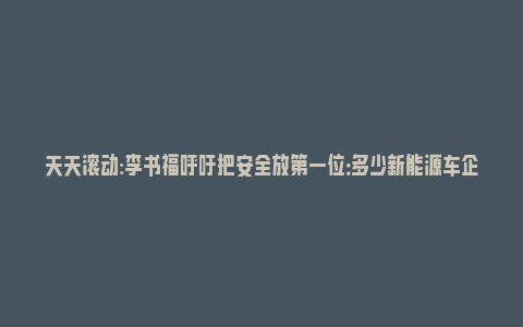 天天滚动:李书福呼吁把安全放第一位：多少新能源车企在走入歧途?_https://www.npxbk.com_宏观_第1张